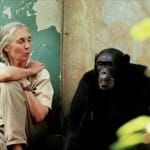 For Love of Nature: Q&A with Jane Goodall